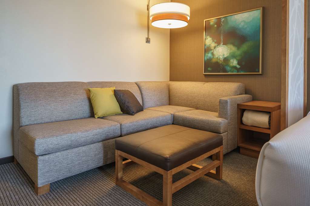 Hyatt Place Houston Galleria Rom bilde